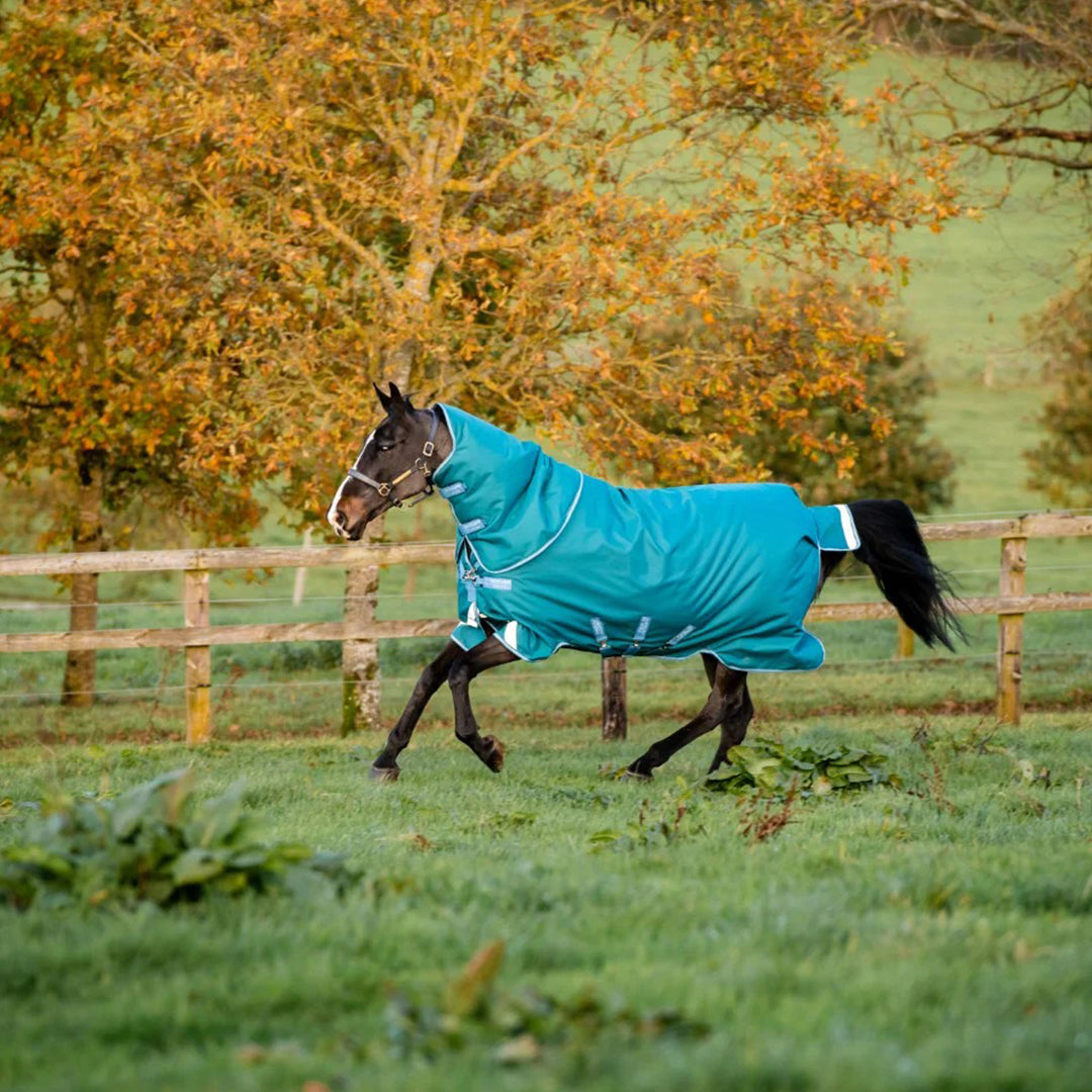 Horseware Ireland AmigoÂ® Bravo 12 Plus (400g Heavy) - Breeches.com