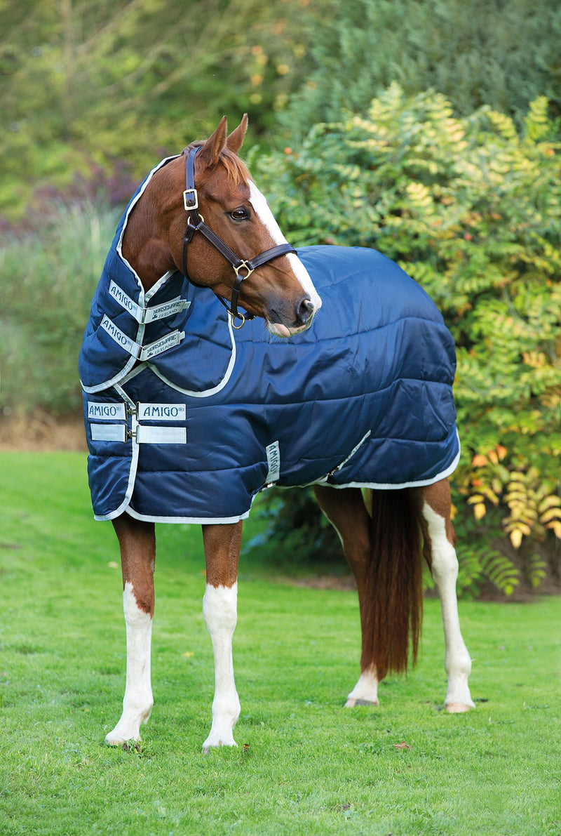 Horseware Ireland AmigoÂ® Insulator Plus Turnout w/ Hood (200g Medium) - Breeches.com