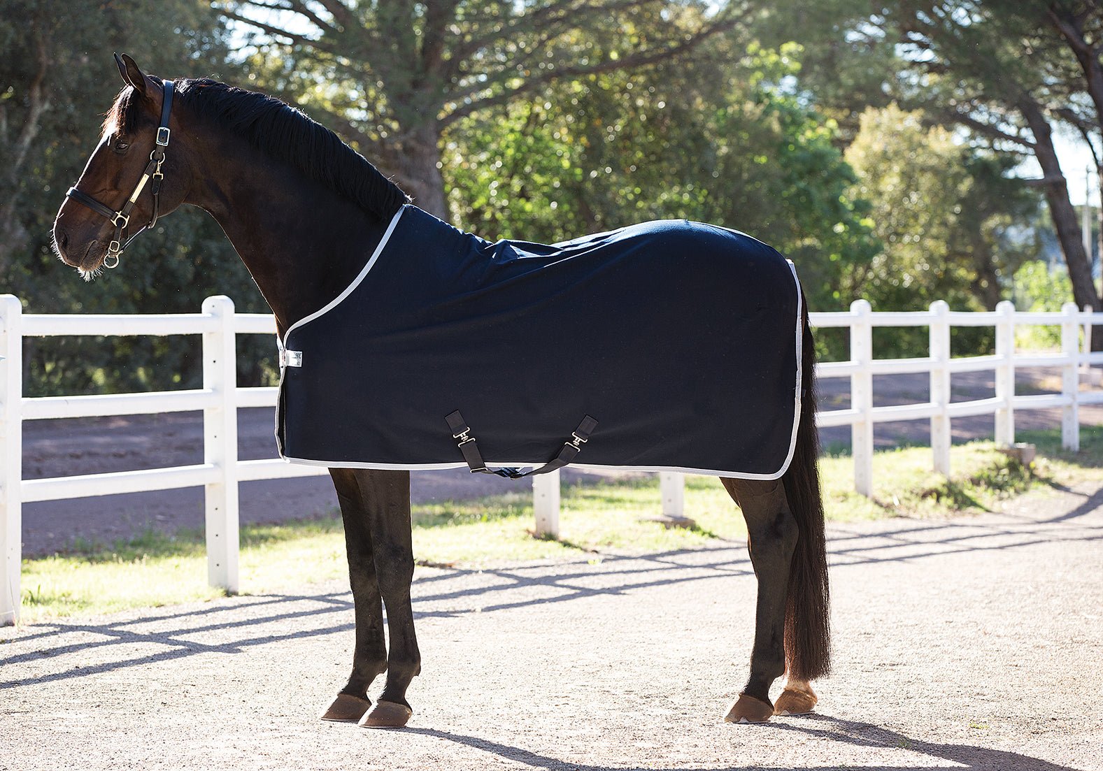 Horseware Ireland AmigoÂ® Jersey Cooler (No fill) - Breeches.com