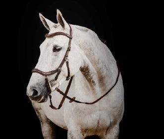 Horseware Ireland Micklem 2 Competition Bridle w/Reins - Breeches.com