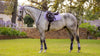 Lemieux Suede Close Contact Square Saddle Pad - Breeches.com