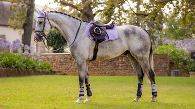 Lemieux Suede Close Contact Square Saddle Pad - Breeches.com