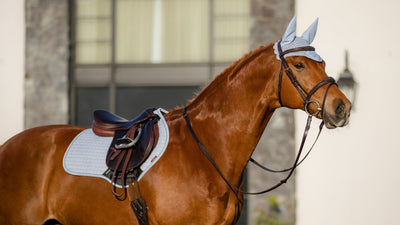 Lemieux Suede Close Contact Square Saddle Pad - Breeches.com