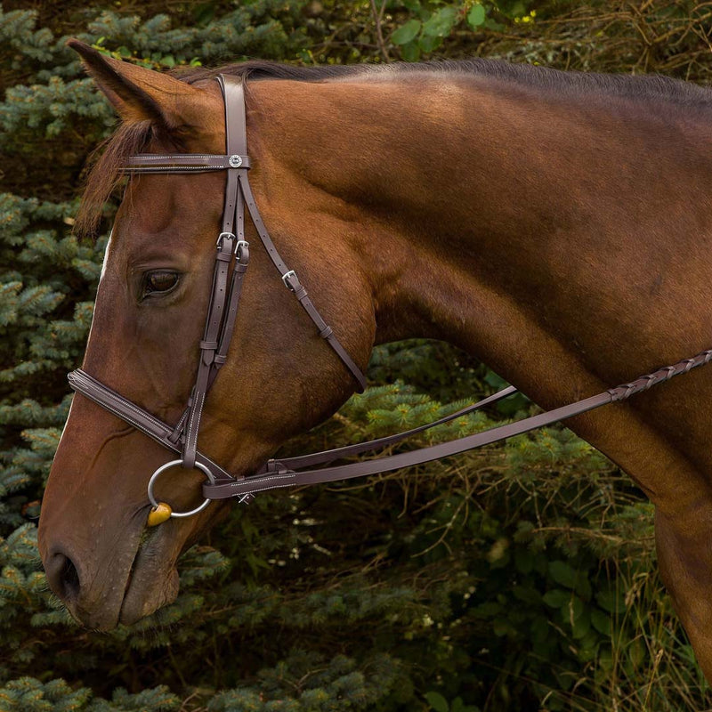 Henri de Rivel Advantage Horse Fancy Raised Padded Bridle With Laced Reins - Breeches.com