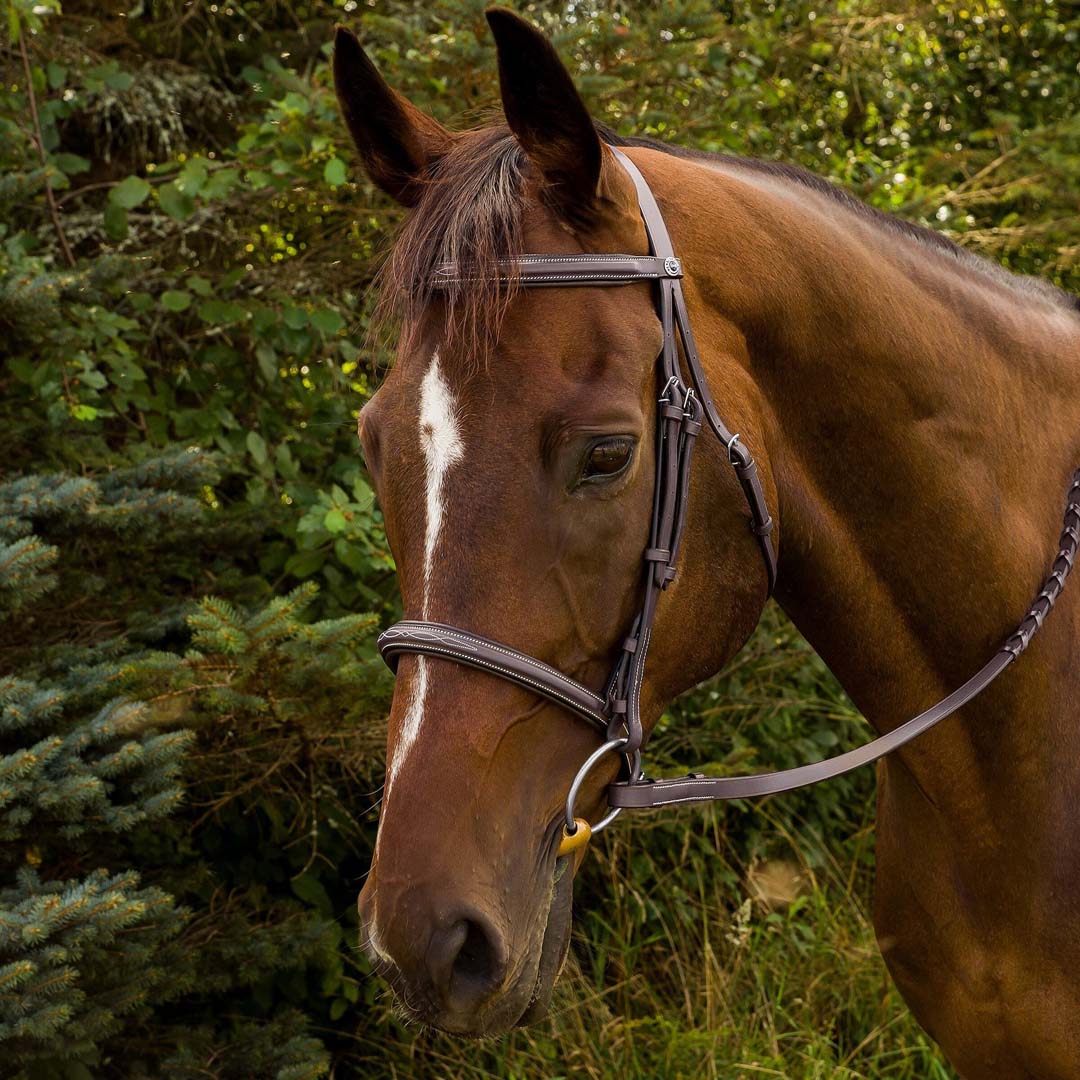 Henri de Rivel Advantage Horse Fancy Raised Padded Bridle With Laced Reins - Breeches.com