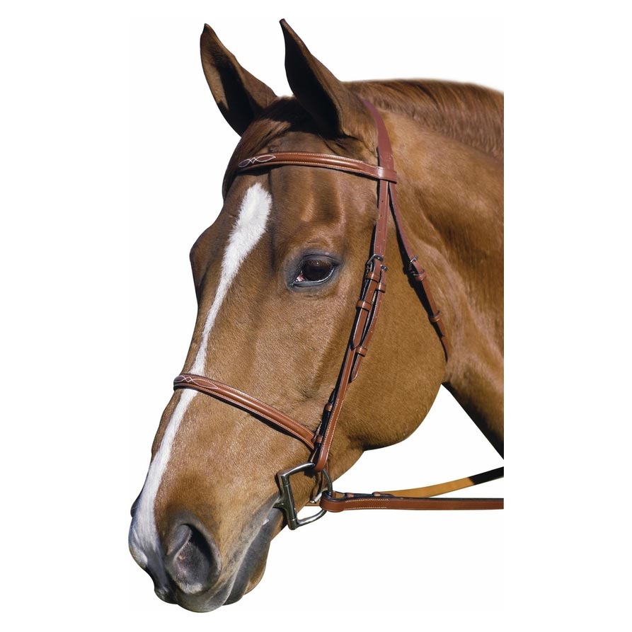 Henri de Rivel Pro Fancy Raised Bridle With Laced Reins - Breeches.com