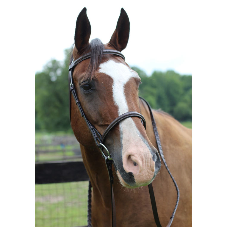Henri de Rivel Pro Fancy Raised Bridle With Laced Reins - Breeches.com