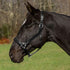 Henri de Rivel Pro Fancy Padded Rolled Throat Triple Stitched Halter - Breeches.com