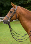 HENRI DE RIVEL POLO BRIDLE WITH DOUBLE REINS - Breeches.com