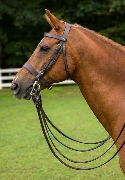 HENRI DE RIVEL POLO BRIDLE WITH DOUBLE REINS - Breeches.com