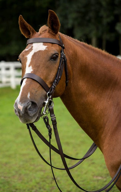 HENRI DE RIVEL POLO BRIDLE WITH DOUBLE REINS - Breeches.com
