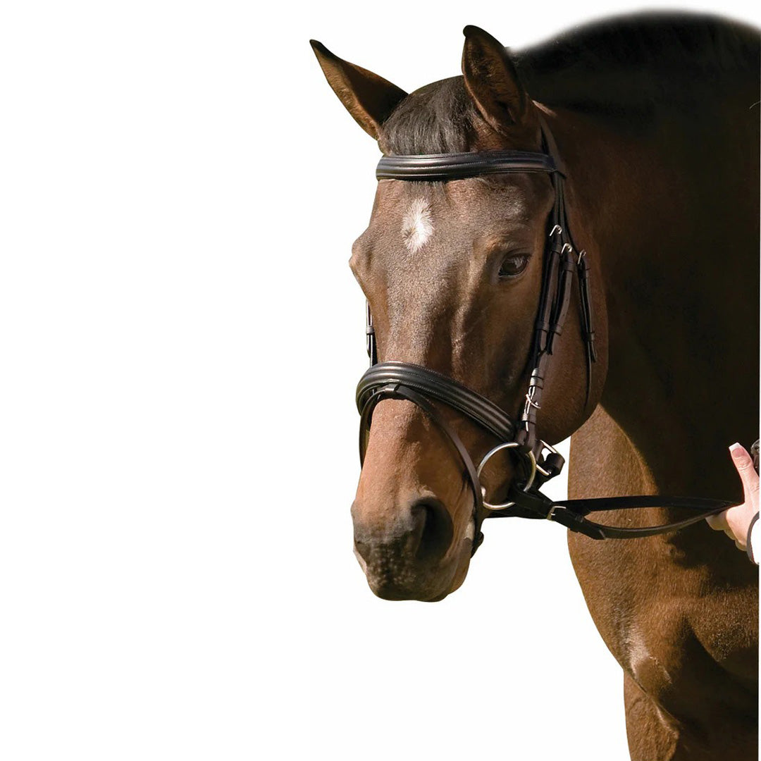Henri de Rivel Pro Padded Raised Dressage Bridle with Crank Flash Noseband with Web Reins - Breeches.com