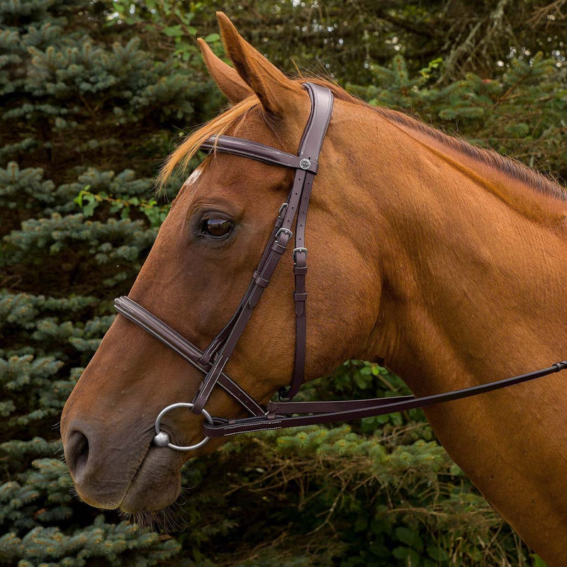 Henri de Rivel Pro Mono Crown Fancy Stitched Padded Bridle - Breeches.com
