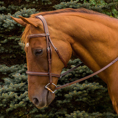 Henri de Rivel Pro Mono Crown Fancy Stitched Padded Bridle - Breeches.com