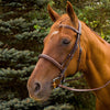 Henri de Rivel Pro Mono Crown Fancy Stitched Padded Bridle - Breeches.com