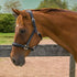Henri de Rivel Stress Free Halter With Fancy Contrast Stitching_2