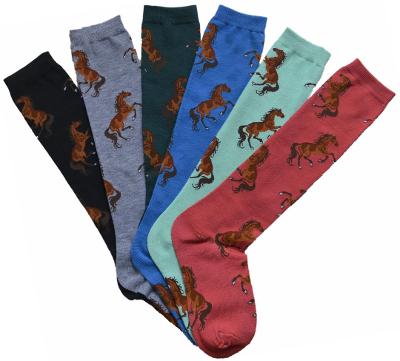 AWST Int'l Ladies "Lila" Bay Horse Knee Socks-6 Pack - Breeches.com