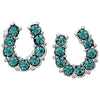 AWST Int'l Rhinestone Horseshoe Earrings  w/Horse Head Gift Box - Breeches.com