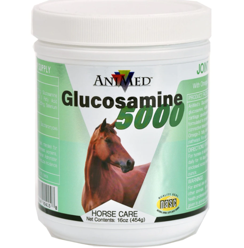 GLUCOSAMINE 5000 SUPPLEMENT FOR HORSES- 16 OZ - Breeches.com