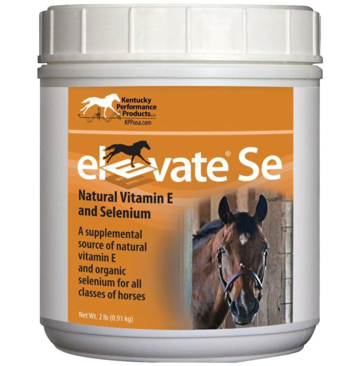 ELEVATE SE VIT E & SELENIUM POWDER- 2 LB- 130 DAY SUPPLY - Breeches.com