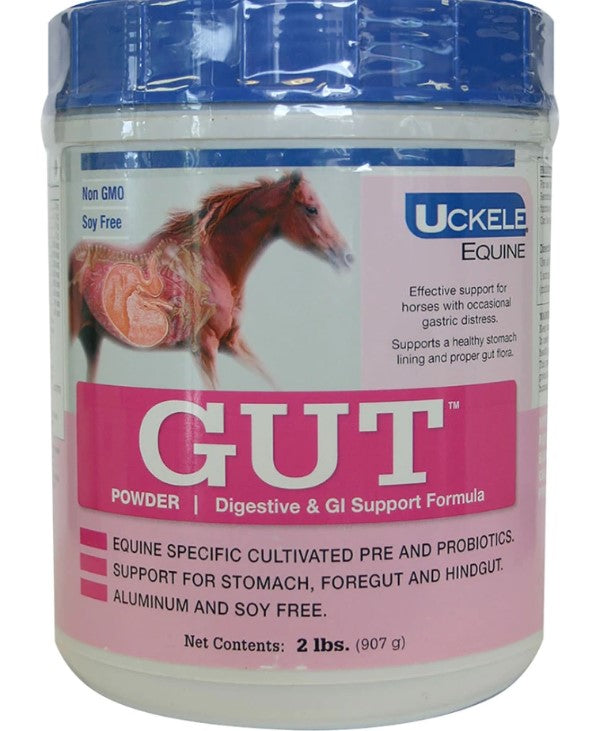 Uckele Gut Digestive and GI Support Powder- 2 lb - Breeches.com