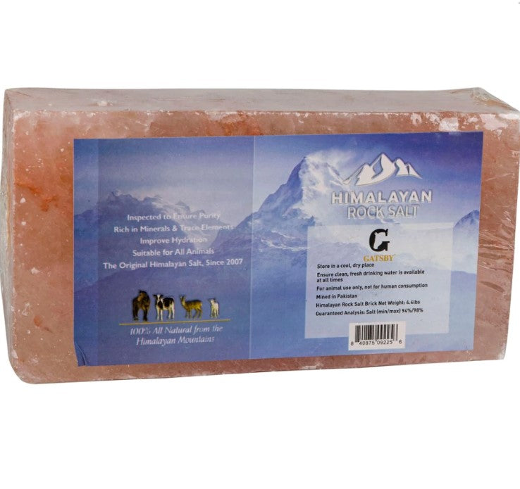 GATSBY 100% Natural Himalayan Rock Salt Block- 4 lb- Pink - Breeches.com