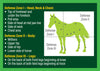 Farnam Equi-Spot Spot On Fly Protection 6-Week Supply - 3 Applications