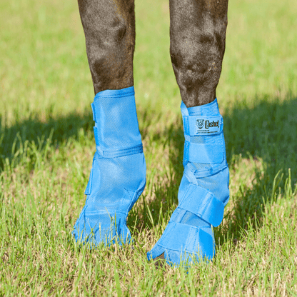 Cashel Crusader Horse Leg Guard Fly Boots 3 - Breeches.com