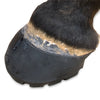 EasyCare Easyboot Glue-On