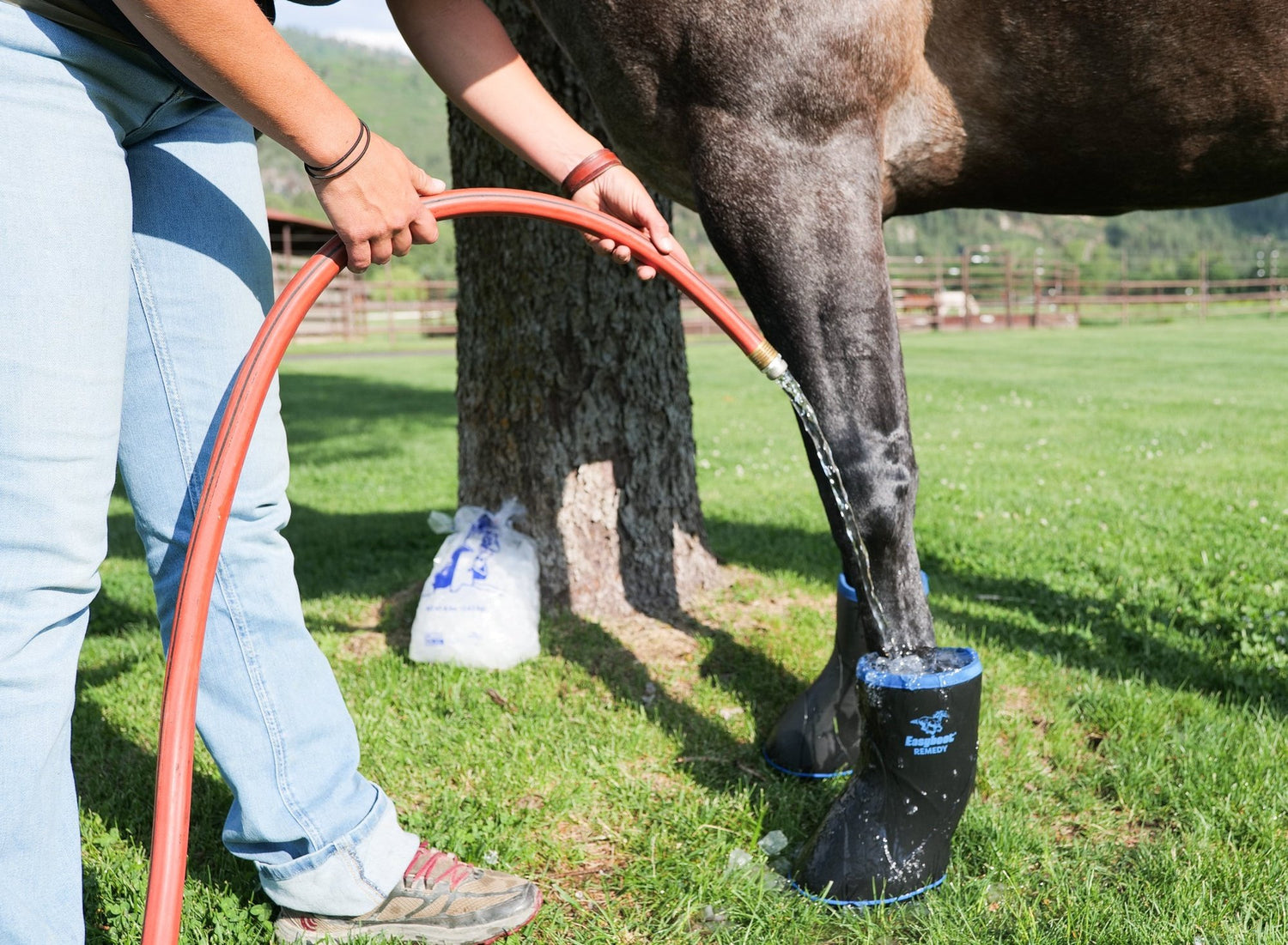 EasyCare EasyBoot Soaking and Therapy Boot - Breeches.com