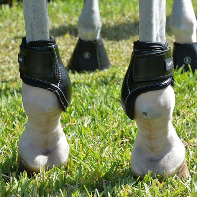 EquiFit Young Horse Hind Boots