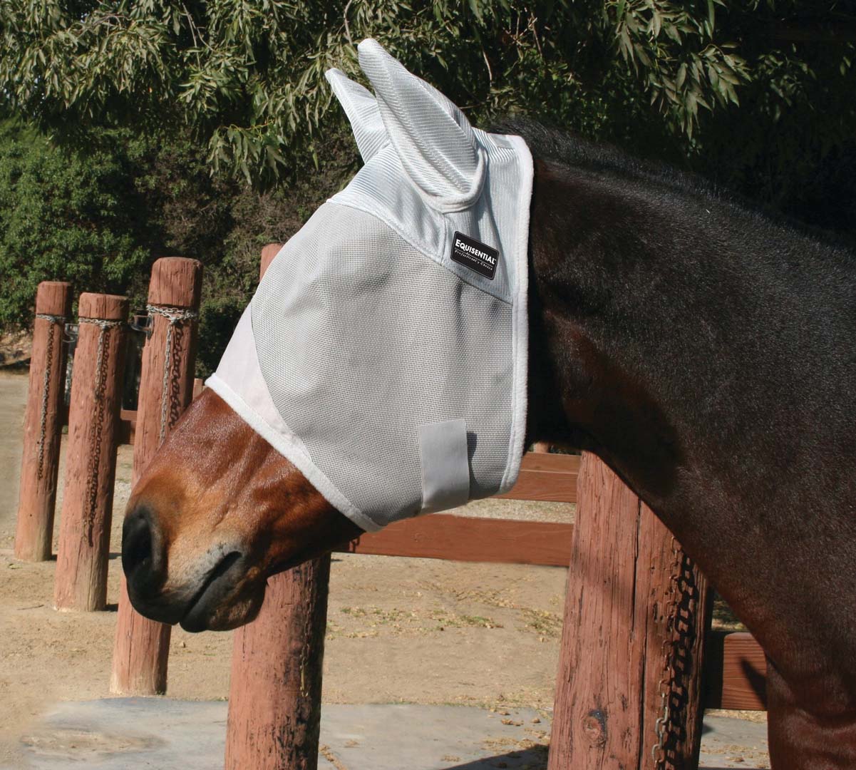 Professional's Choice Equissentials Fly Mask With Ears - Breeches.com