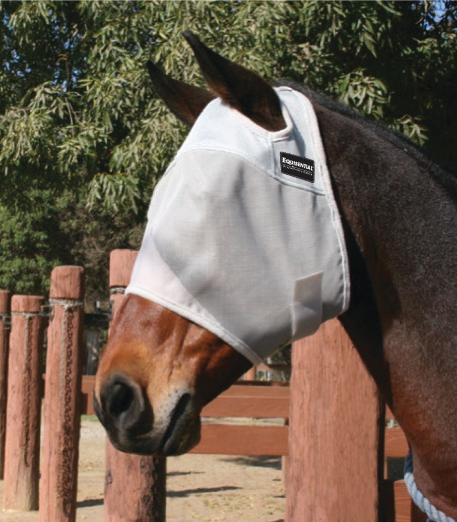 Professional's Choice Equissentials Fly Mask Without Ears - Breeches.com