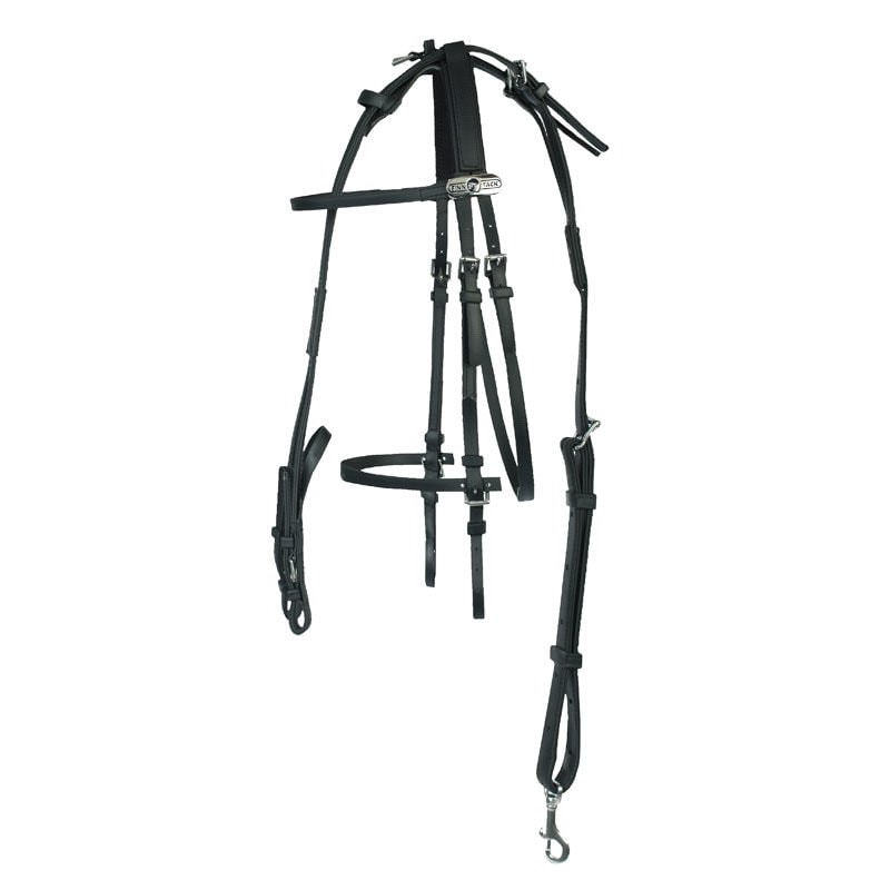 Finntack Synthetic American Racing Bridle - Breeches.com
