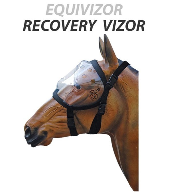 Provizor Products Equivizor Recovery Vizor_441