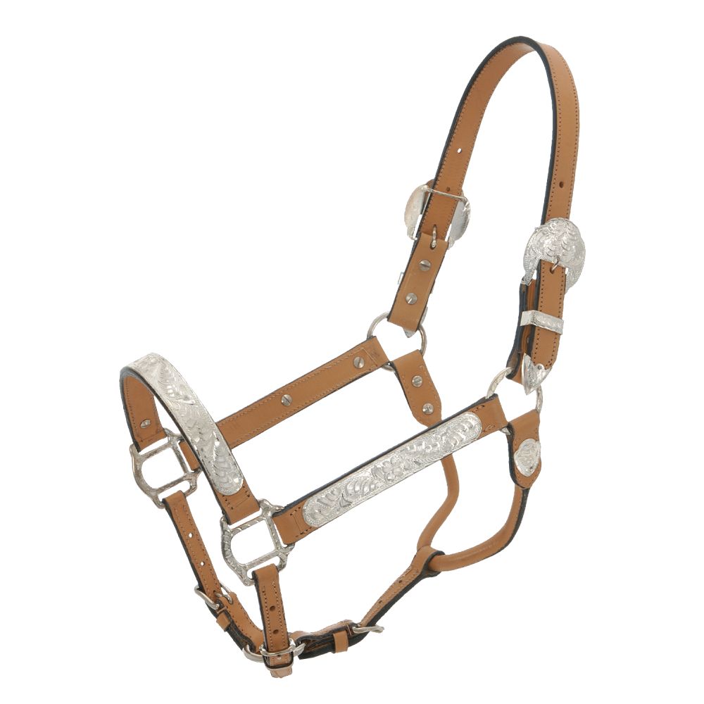 Royal King Silver Show Halter - Breeches.com