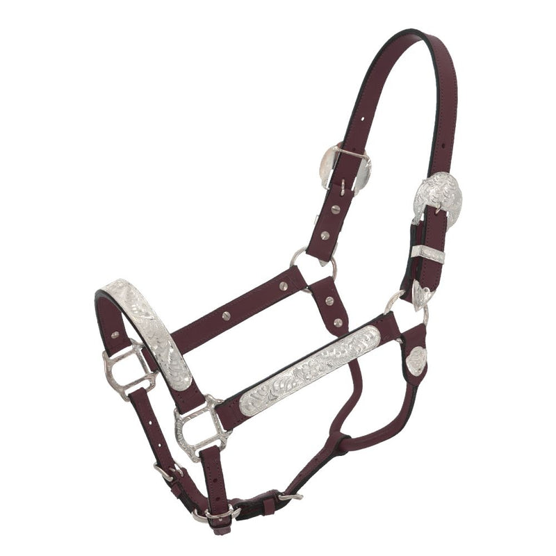 Royal King Silver Show Halter - Breeches.com