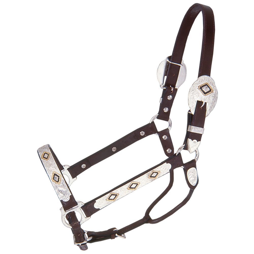 Royal King Gold & Black Silver Show Halter - Breeches.com