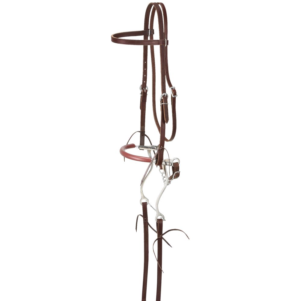 King Series Browband Bridle w/ Hackamore - Breeches.com