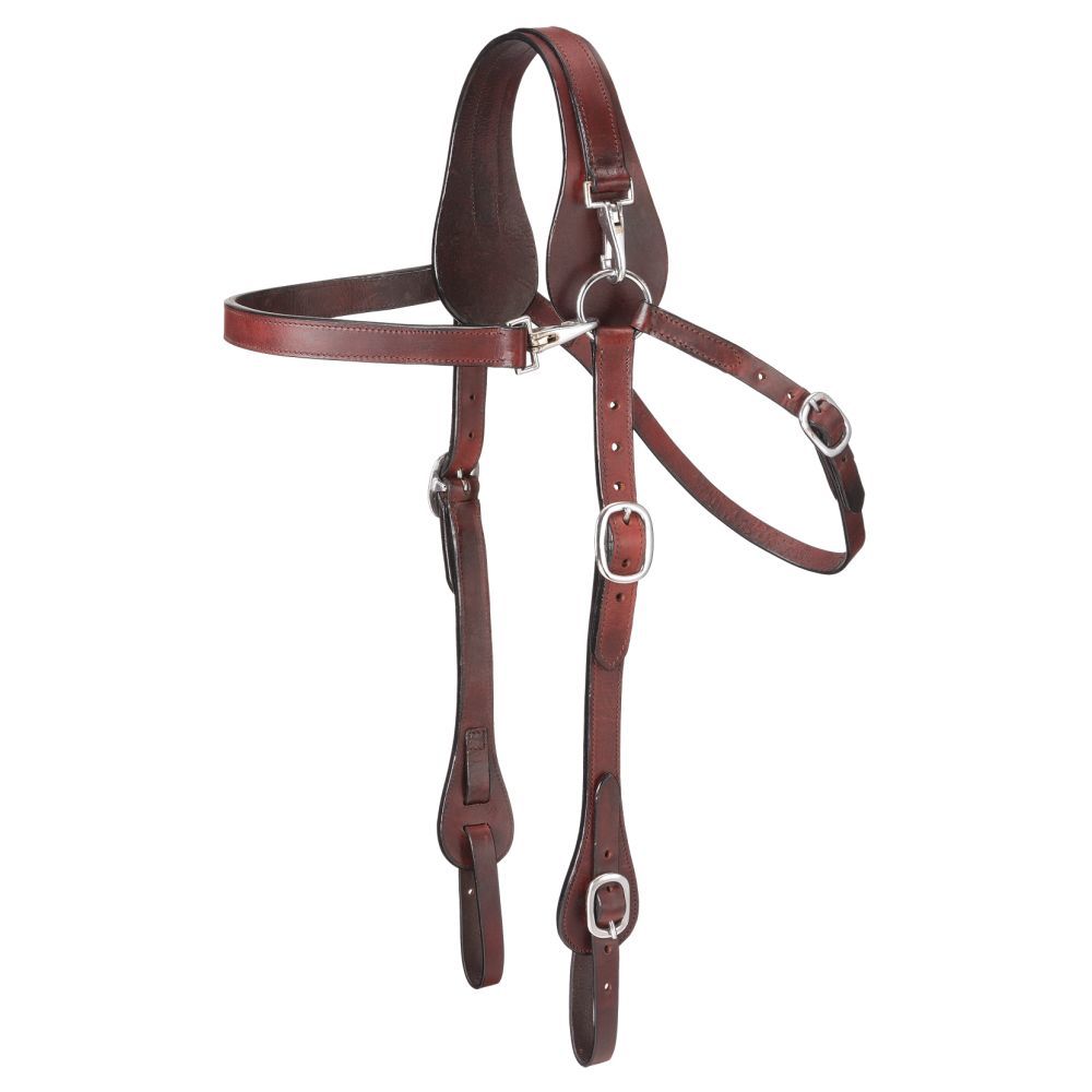 Leather Mule Headstall with Snap Crown - Breeches.com