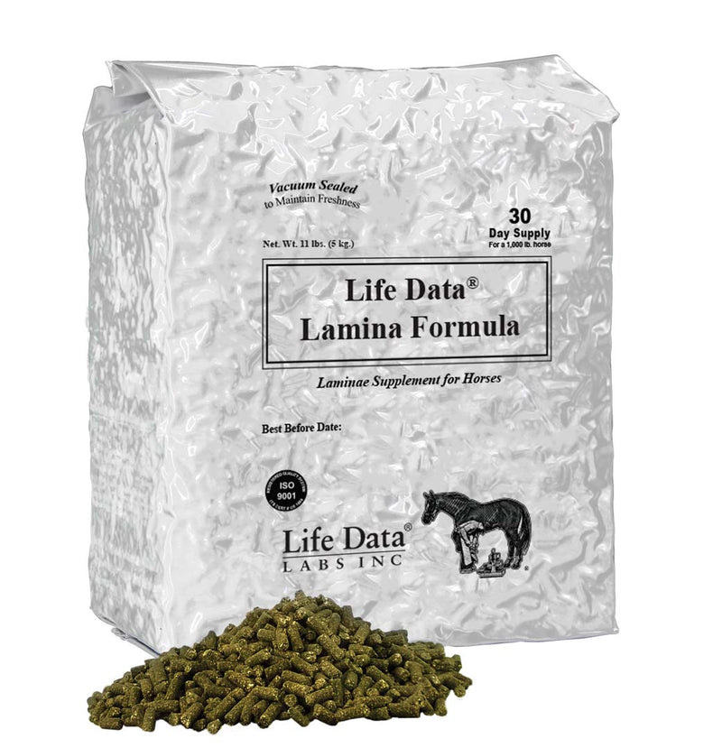 LIFE DATA® Lamina Formula- 11 oz (5kg)  Bag - Breeches.com