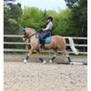 LeMieux Loire Memory Satin Dressage Square Saddle Pad - Breeches.com
