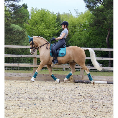 LeMieux Loire Memory Satin Dressage Square Saddle Pad - Breeches.com