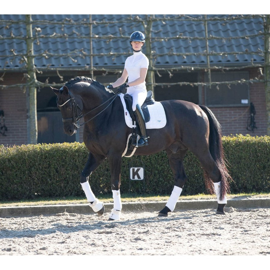 LeMieux Loire Memory Satin Dressage Square Saddle Pad - Breeches.com