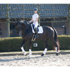 LeMieux Loire Memory Satin Dressage Square Saddle Pad - Breeches.com