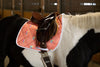 Lettia Toucan All Purpose Pad - Breeches.com