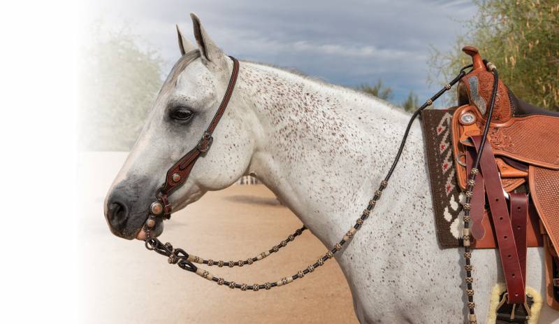 Professional's Choice Rawhide Romal Reins _1