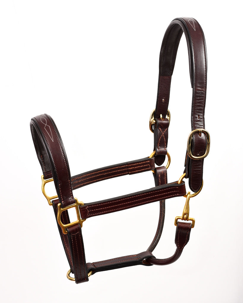 Perri's Leather Fancy Stitched Leather Halter Hv/Hv Padding - Breeches.com