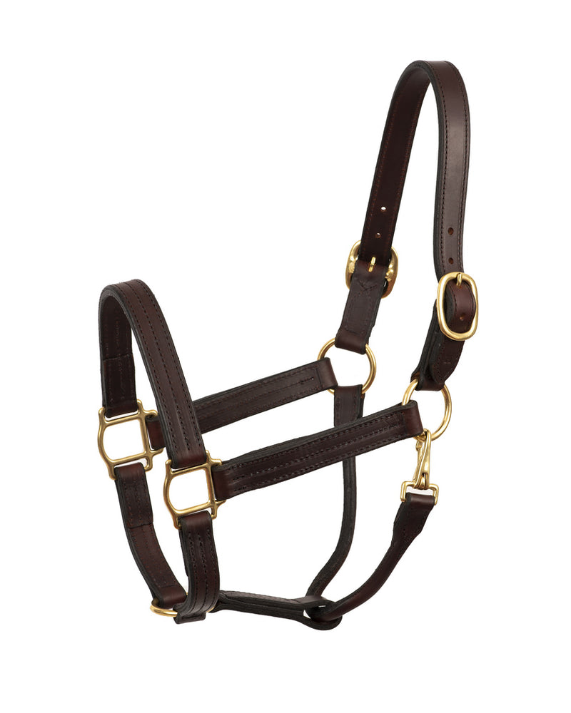 Perri's Leather Heavy Weight Track Halter W/Snap - Breeches.com