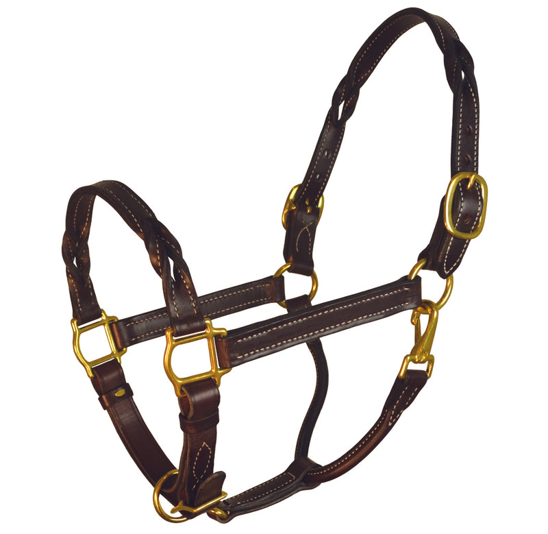 Perri's Leather Twisted Leather Halter - Breeches.com